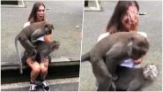 जब महिला पर्यटक पर सेक्स करने लगा बंदरों का एक जोड़ा, महिला का के रिएक्शन वाला वीडियो हुआ वायरल